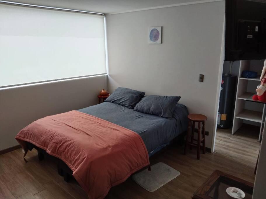 Departamento Nuevo Tipo Estudio En Pleno Centro -8 Daire Concepción Dış mekan fotoğraf