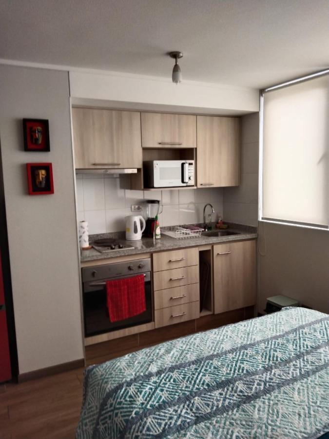 Departamento Nuevo Tipo Estudio En Pleno Centro -8 Daire Concepción Dış mekan fotoğraf