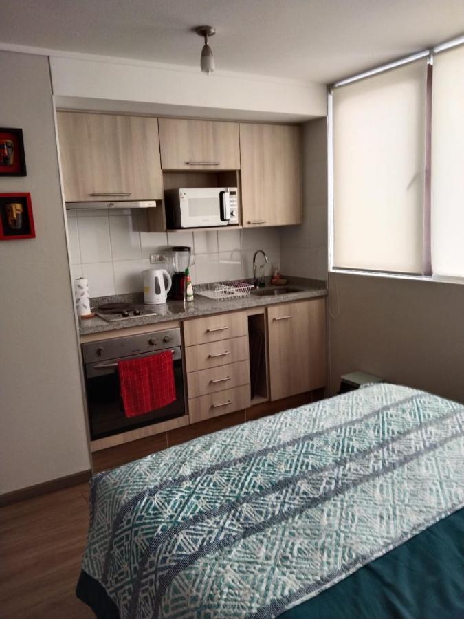 Departamento Nuevo Tipo Estudio En Pleno Centro -8 Daire Concepción Dış mekan fotoğraf